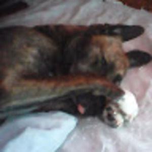 Meet your Posher, Erika